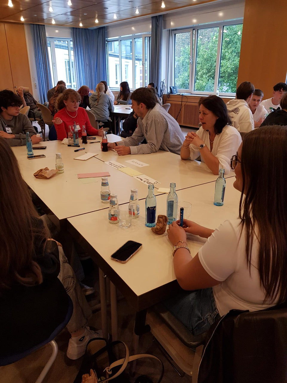 Die E1a lebt politische Teilhabe